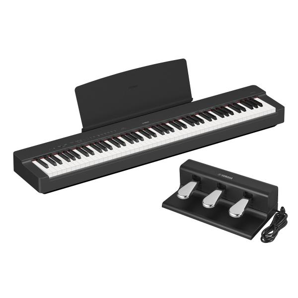 ishibashi_80-p225bfc35