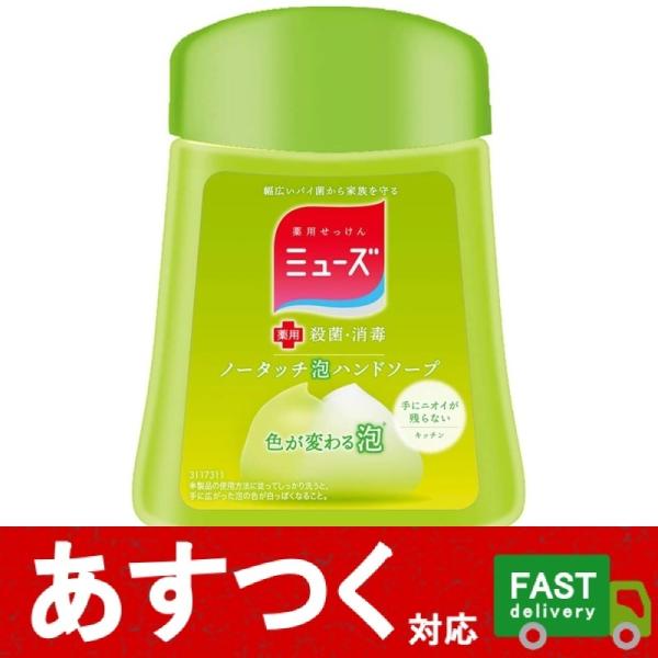 アース製薬 （250ml×1個 ミューズ 手にニオイが残らない キッチン