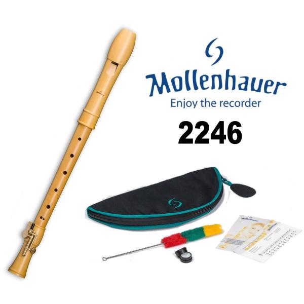 itogakki_mollenhaueralto2246