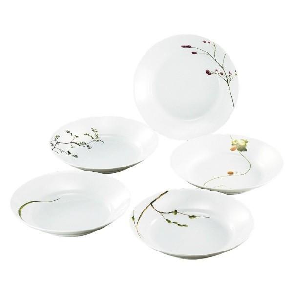 カレー 皿 5枚セット」の人気商品一覧 | 安い商品を通販サイトから探す