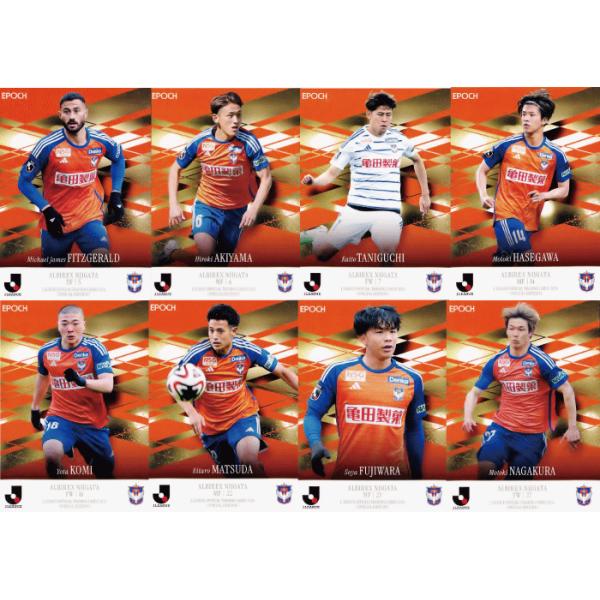 jambalaya_24jocse-tc11