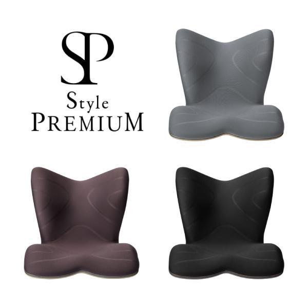 Style（スタイル） 姿勢ケアシート Style PREMIUM プレミアム MTG 骨盤