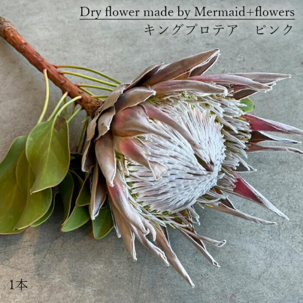 ohanakakumei_dryflower-kingpp1