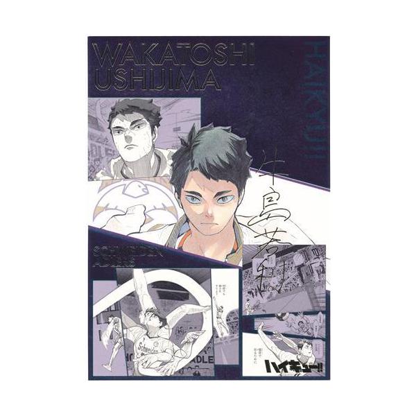 ハイキュー ハイキュー展 FINAL 箔押しイラストカードコレクション