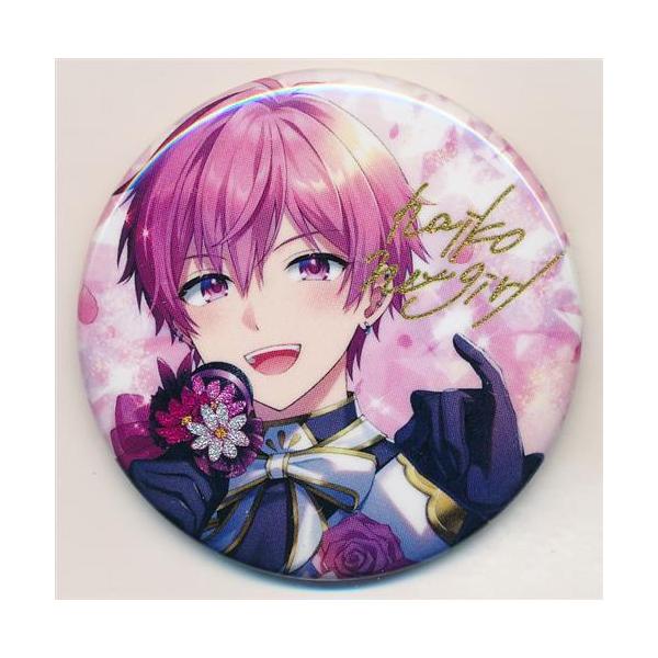 いれいす ないこ いれサマ缶バッジ 16点 グッズ-バッチ】いれいす