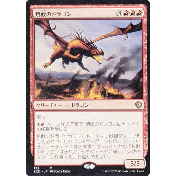 lead-netstore_scdjp062212tt152