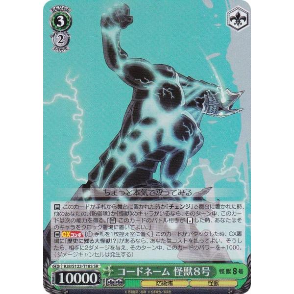 lead-netstore_s123td082508mrp018