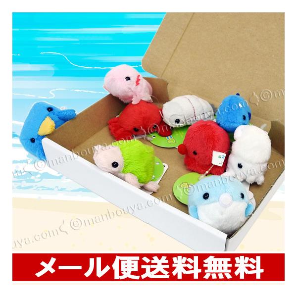 水族館 グッズ ぬいぐるみ セット A-SHOW ムニュマムお手玉 箱詰め