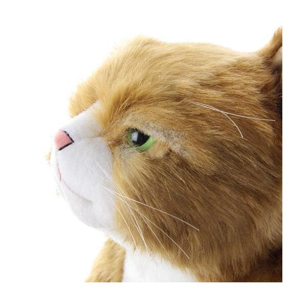 カドリー ねこ ぬいぐるみ わさ美【Cuddly／wasabi／ヌイグルミ／猫