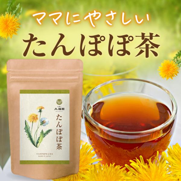 たんぽぽ茶 2g×30包 たんぽぽ 茶 タンポポ茶 たんぽぽコーヒー ノン