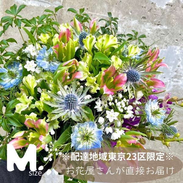 mingle-h_bq-50-zisya