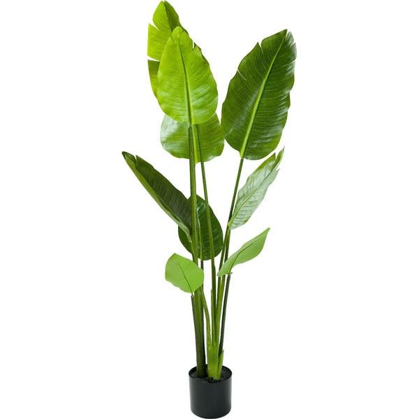 ニトリ（NITORI） フェイクグリーン トラベラーズパーム130cm(OS1105