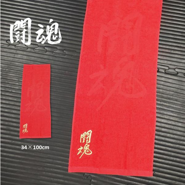 soul-sports_00239003-inoki