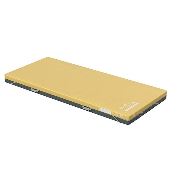 個人様向け限定商品) (パラマウントベッド) エバーリーフシャイン 清拭