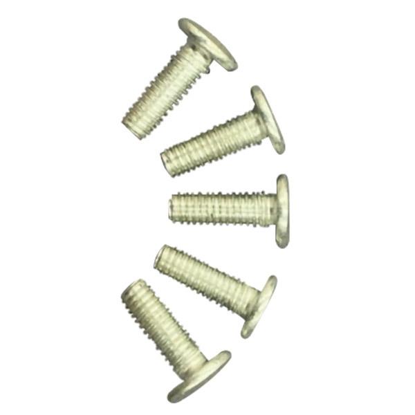 武田コーポレーション 即日出荷 アイアンフレームNeo 専用ねじ 5個入