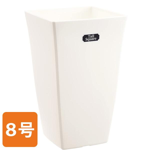 プラ鉢 白 aika アイカ トールスクエア 8号 受け皿無 ホワイト