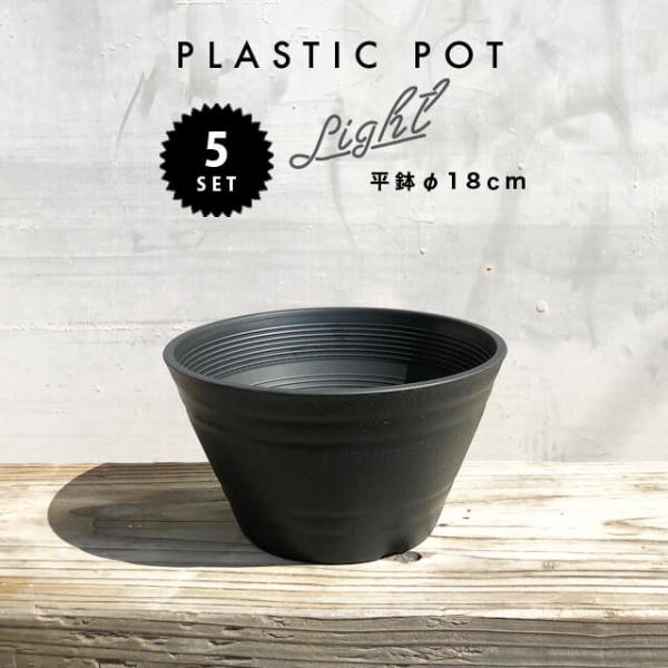 shallowplants_ceraart-18