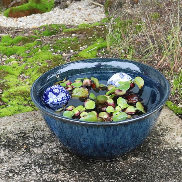 信楽焼 睡蓮鉢 メダカ鉢 金魚鉢 スイレン メダカ 鉢 大型 ビオトープ
