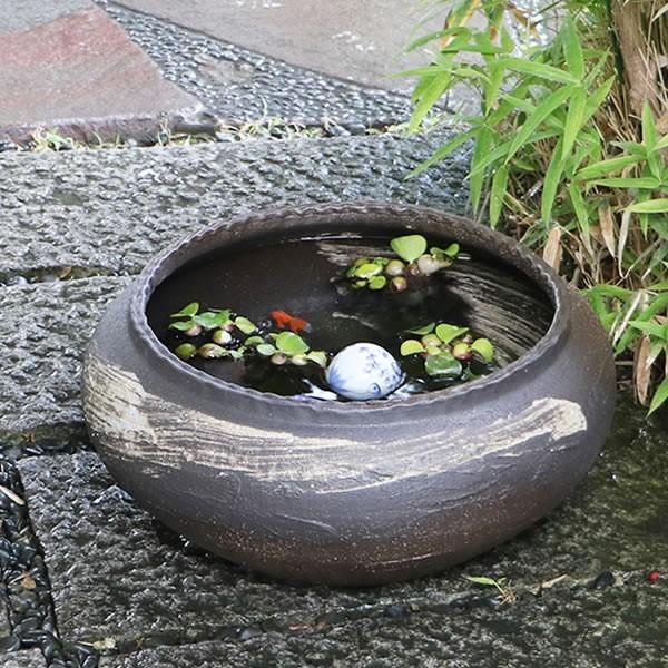 信楽焼 睡蓮鉢 メダカ鉢 おしゃれ めだか鉢 陶器 水鉢 ビオトープ