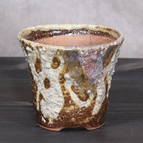 山野草鉢 信楽焼 手づくり 山草鉢 鉢 山草 コケ玉 手作り 植木鉢 陶器