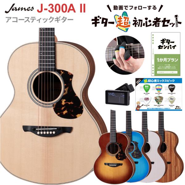 ジェームス（James） ギターを挫折したくないあなたへ J-300AII 超