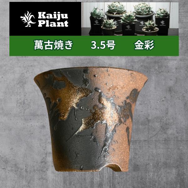Kaiju Plant 萬古焼 3.5号 陶器鉢 ラッパ アガベ 多肉 塊根 用 1鉢