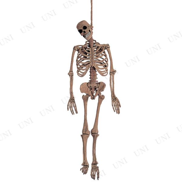 party-honpo_pw-47057s