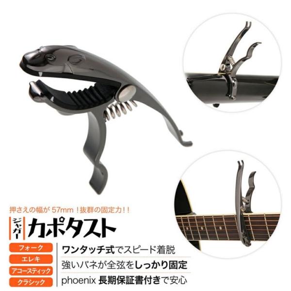 phoenix-tsuuhan_10000204