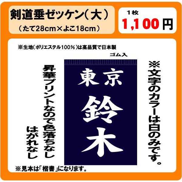 剣道垂 ゼッケン 大 H28cm×W18cm ネーム : プリントりん - 通販
