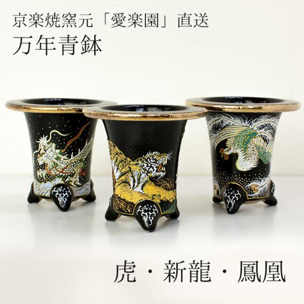 鉢 万年青」の人気商品一覧 | 安い商品を通販サイトから探す - 価格.com