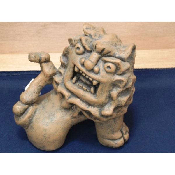 ryukyugama_31930048-2