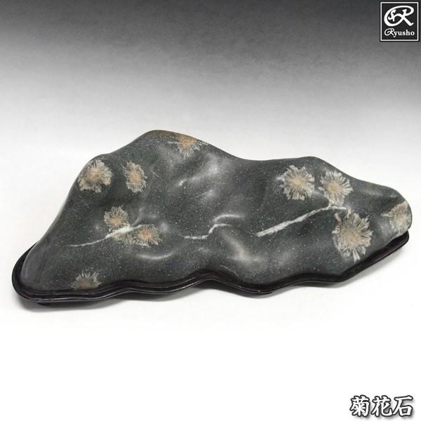 菊花石」の人気商品一覧 | 安い商品を通販サイトから探す - 価格.com