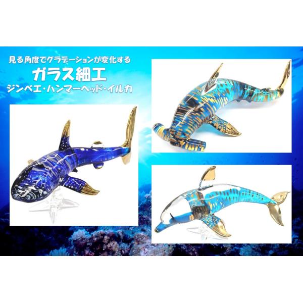 ハンマーヘッドシャーク 海 レジンアート 20x20cm サンゴ礁