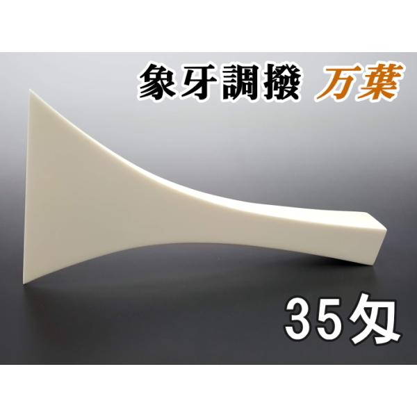 wagakki-ichiba_10000030