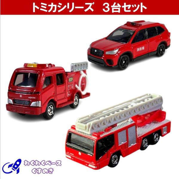 wakuwakukusunoki_101010737