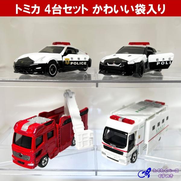 wakuwakukusunoki_101010941