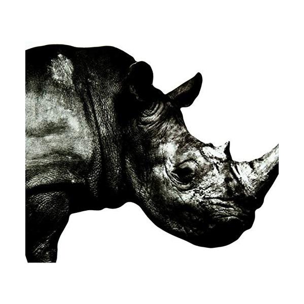 Mr.Children ミスター・チルドレン / 1992-1995 2001.07.11 ベスト