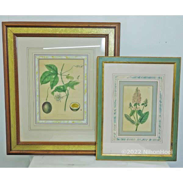 town-houei_20220517-05