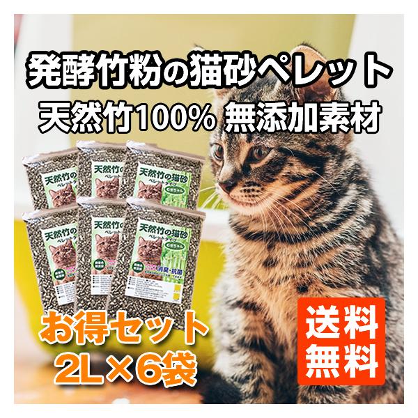 秋 落ち葉 猫 5個セット 秋 落ち葉 猫 5個セット