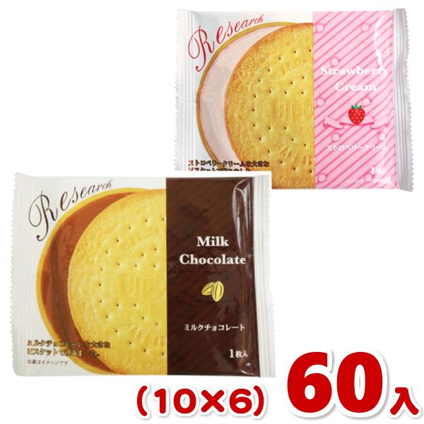 前田製菓 ビスケットリサーチ (10×6)60入 (お菓子 販促品 粗品 景品