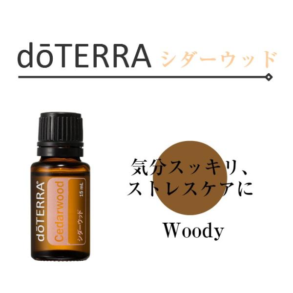 takikawa-shop_doe-cedar-y