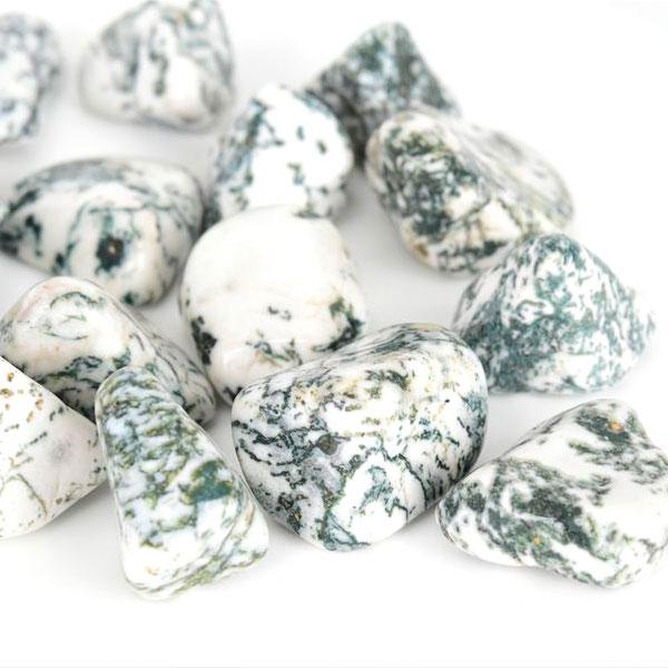 ツリーアゲート タンブル 磨き石 単品販売 インド産 天然石