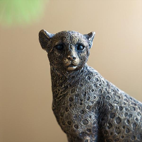 vivienne-style_85309pt