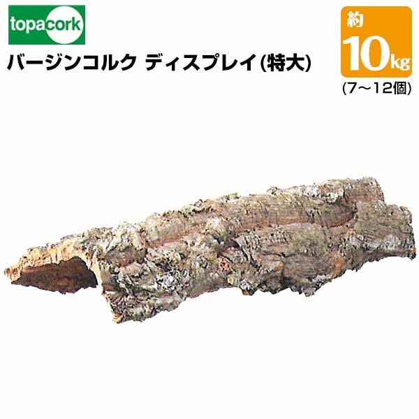園芸用コルクバージンコルクディスプレイ 特大/（06kg〜1.5kg 7〜12本