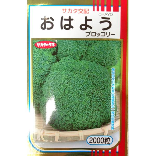 おはよう ブロッコリー種子 2000粒 【野菜種子】 【サカタのタネ