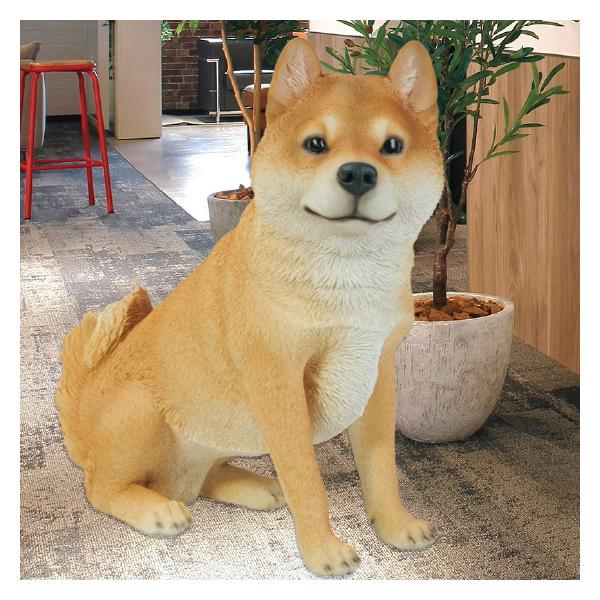 お座り 柴犬 （大） 41 x 17 40.2cm (幅x奥x高) 本物そっくり リアル