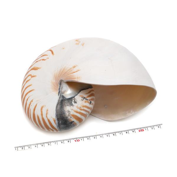 yunyuzakka-com_59731