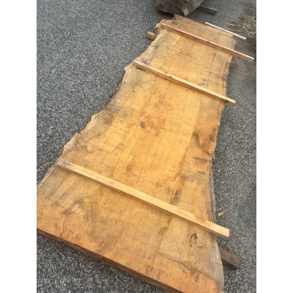 zaimoku-techan_4-1257