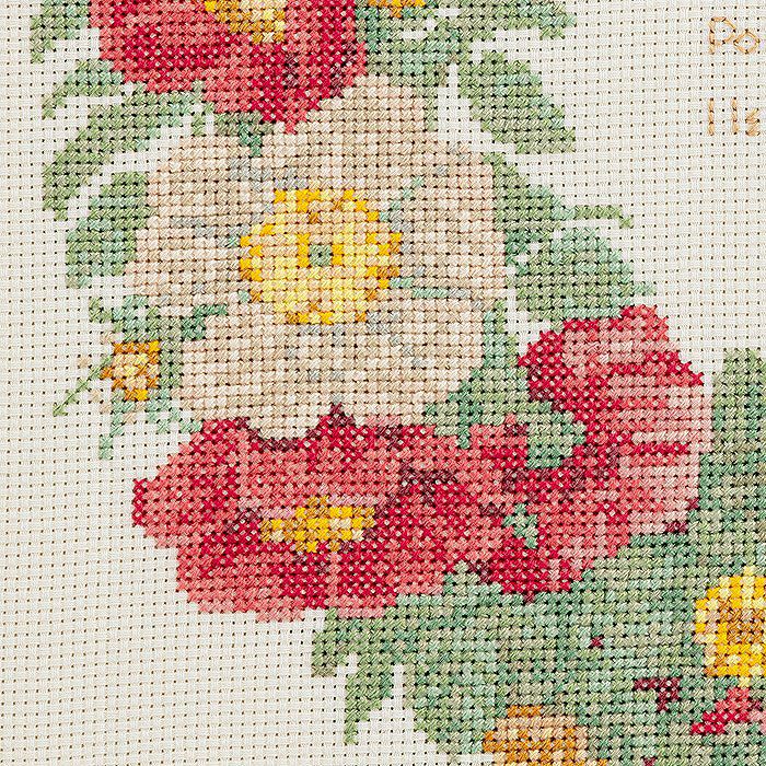 2/25予約】クロスステッチフレーム＜バラ図譜リース（ピエール