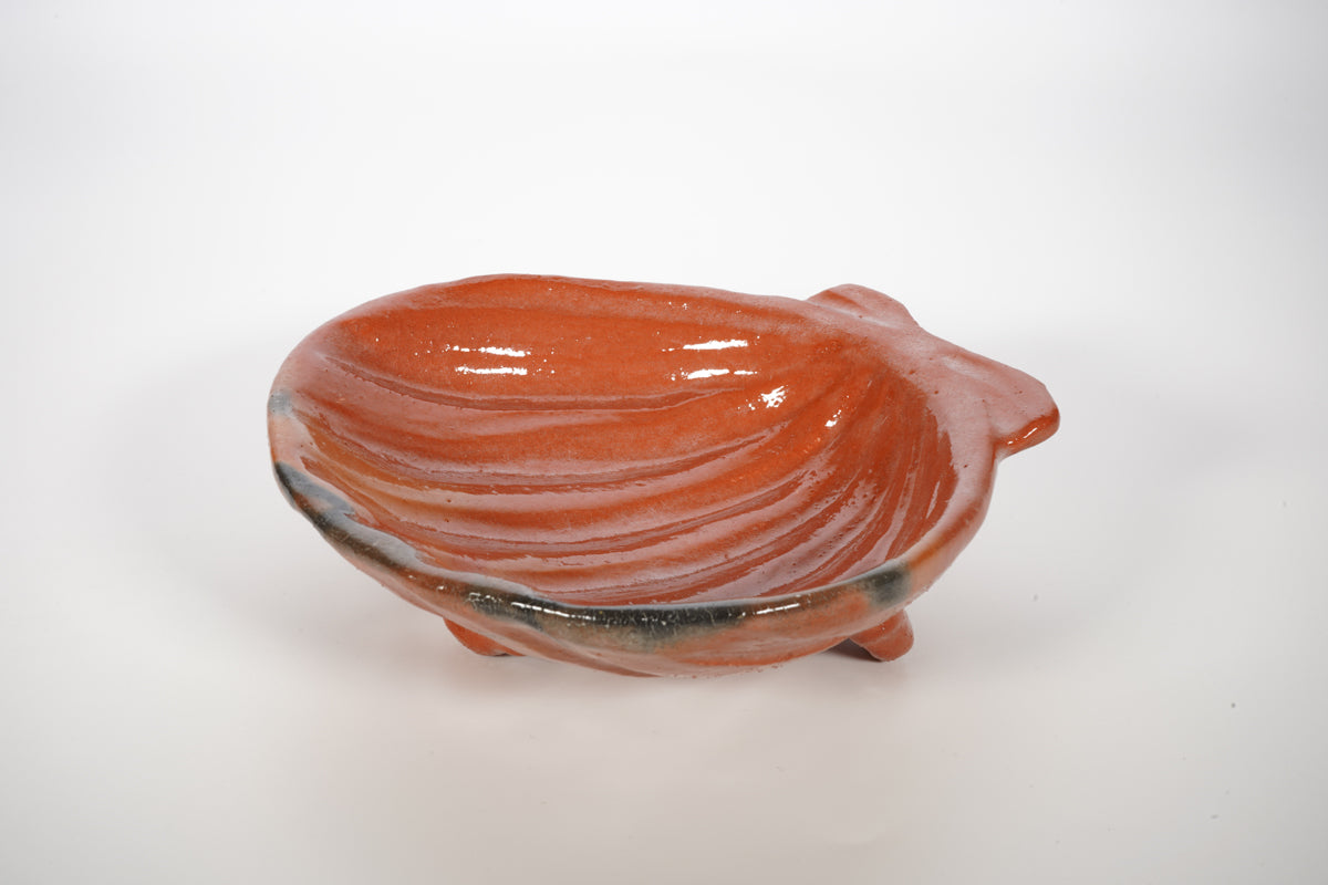 赤楽 乾山写椿 向付